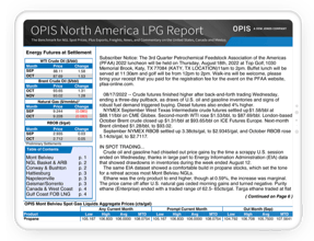 North America LPG report tablet mockup-1