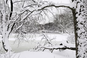 Winter at a glance River with snow and ice framed by trees in foreground after a blizzard early in March, Oak Brook, Illinois